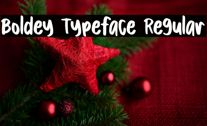 Boldey Typeface Regular Example 1