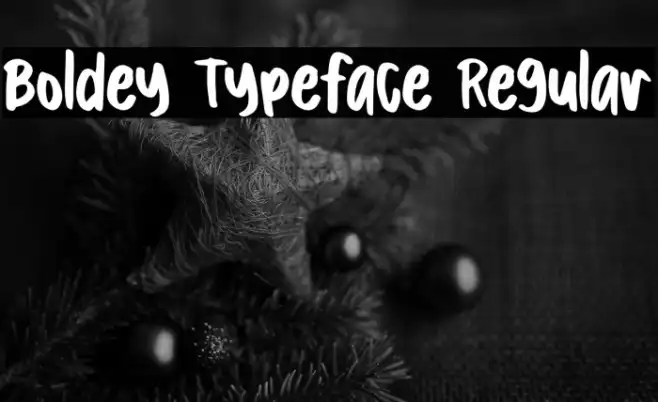 Boldey Typeface Regular Example 1