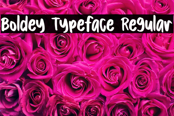 Boldey Typeface Regular Example 3