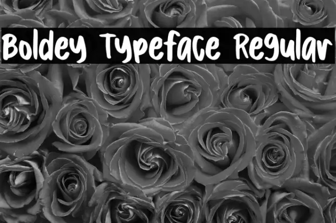 Boldey Typeface Regular Example 3