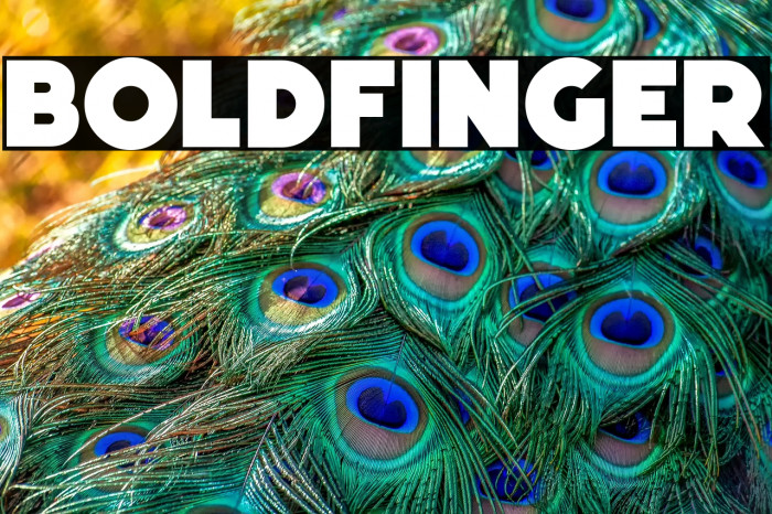 Boldfinger Example 1