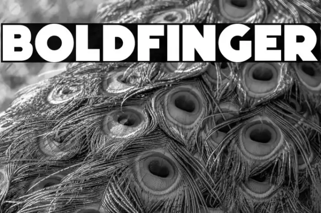 Boldfinger Example 1