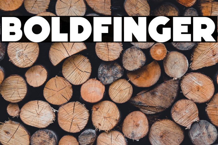 Boldfinger Example 2