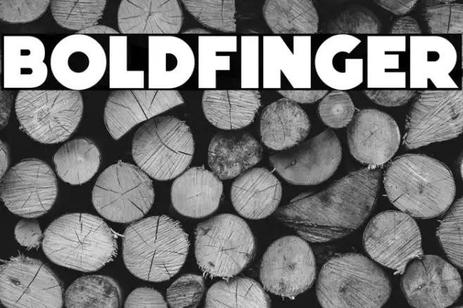 Boldfinger Example 2