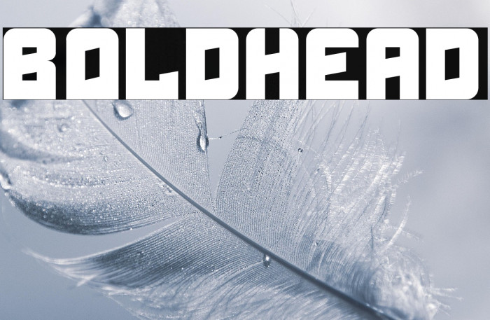 Boldhead Example 1