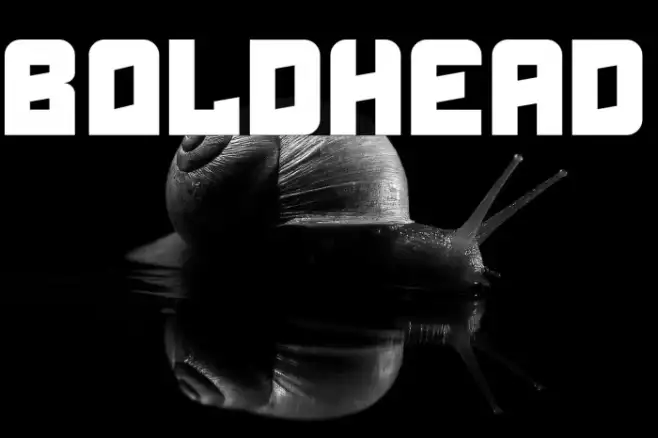 Boldhead Example 3