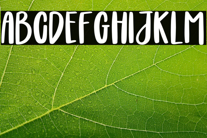 Boldie Blondie Example 1