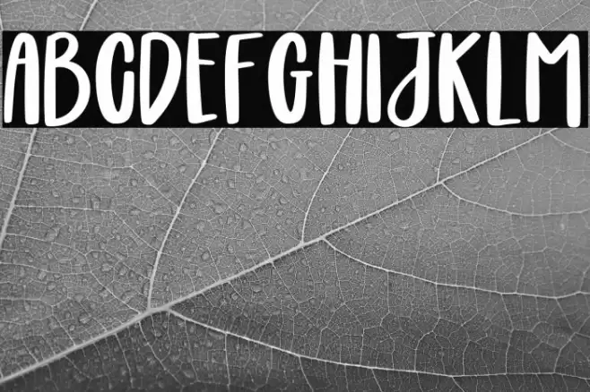 Boldie Blondie Font examples