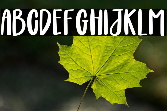 Boldie Blondie Example 3