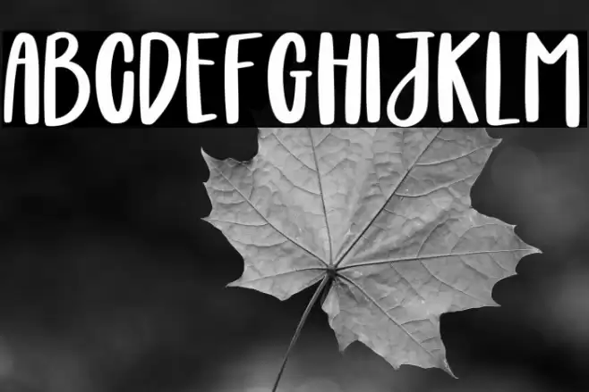 Boldie Blondie Font examples