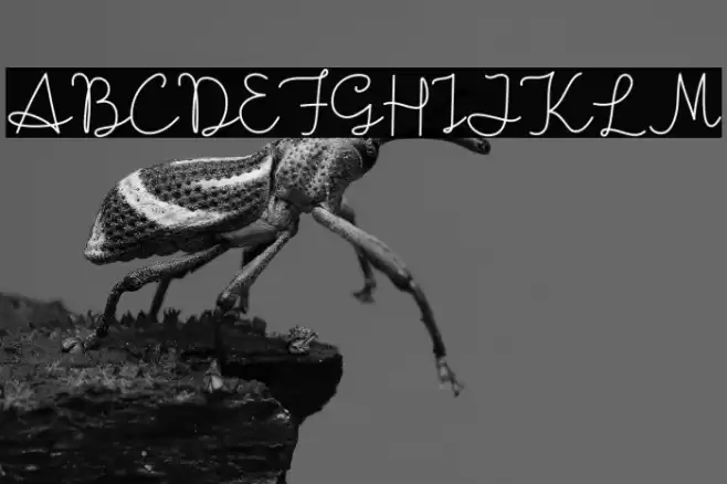 Boldie Love Blondie Font examples