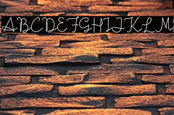 Boldie Love Blondie Example 3