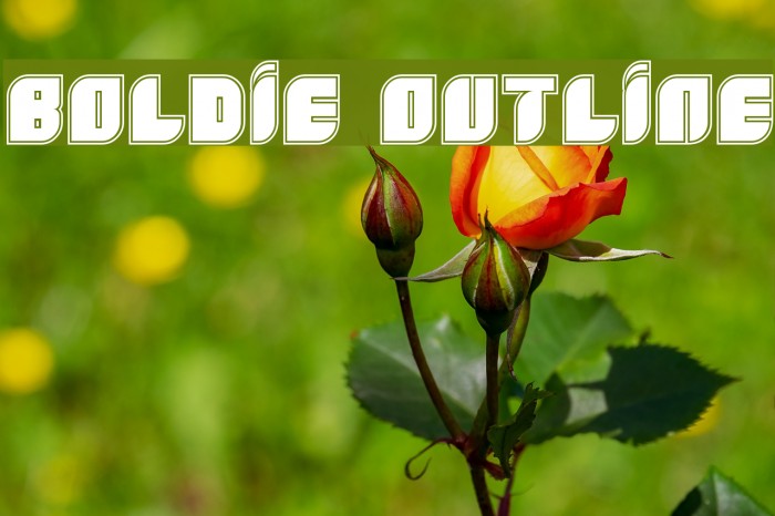 Boldie Outline Font examples