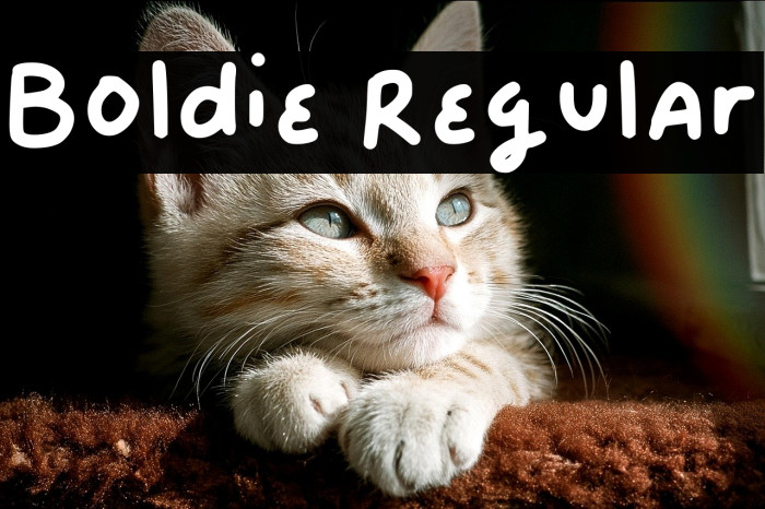 Boldie Regular Example 2