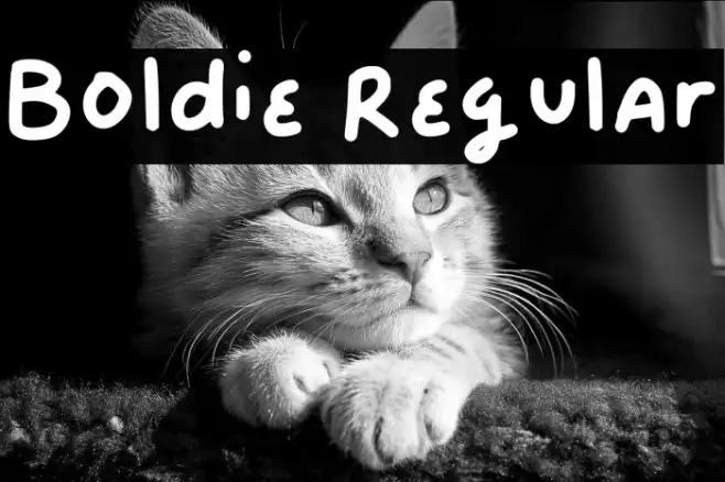 Boldie Regular Example 2