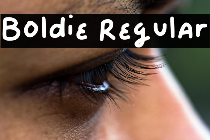 Boldie Regular Example 3