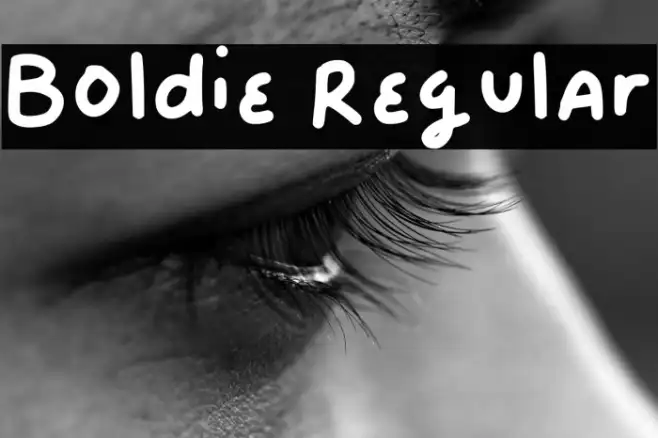 Boldie Regular Example 3