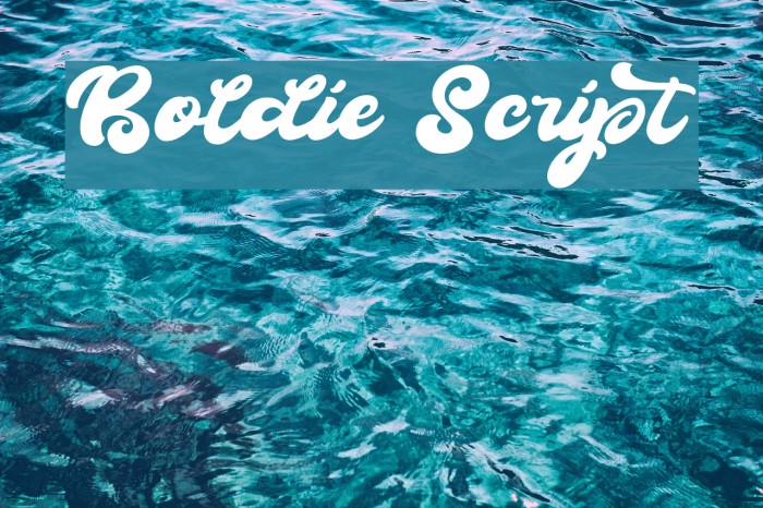 Boldie Script Font examples