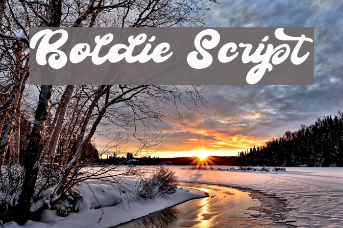 Boldie Script Font examples