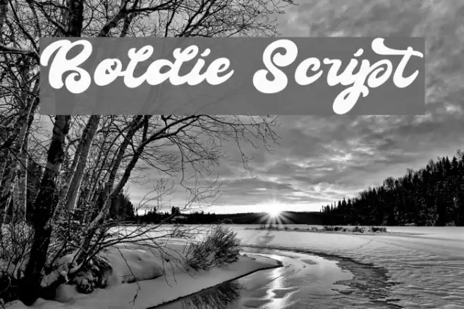 Boldie Script Example 3