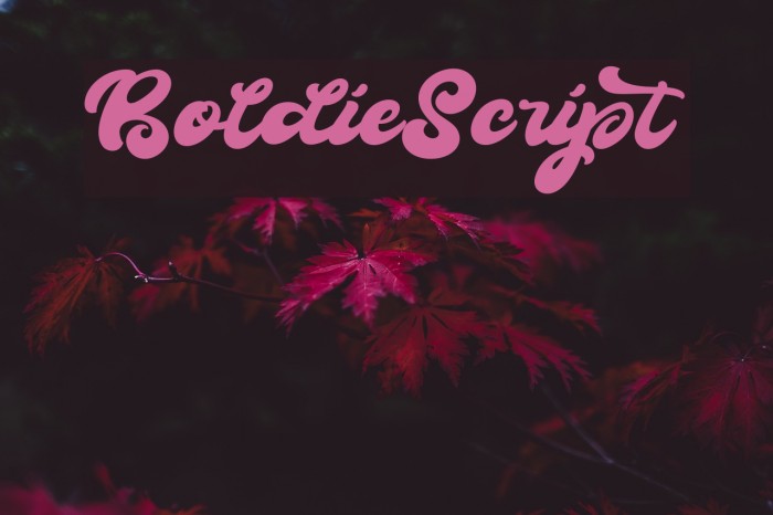 BoldieScript Font examples