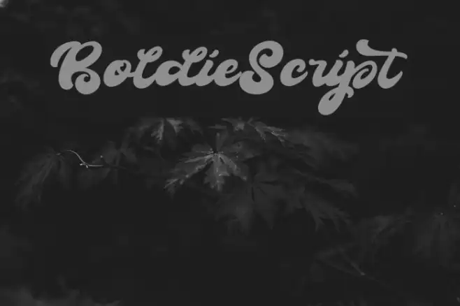 BoldieScript Example 1