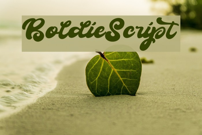 BoldieScript Font examples