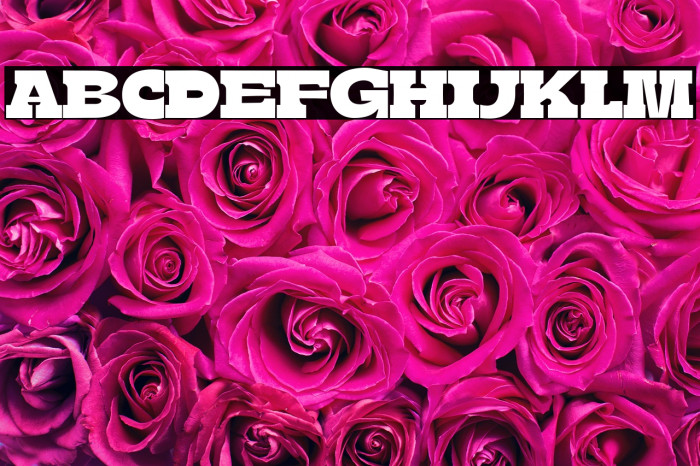 BoldieSlab-SemiCondensed Example 2