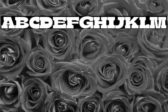 BoldieSlab-SemiCondensed Font examples