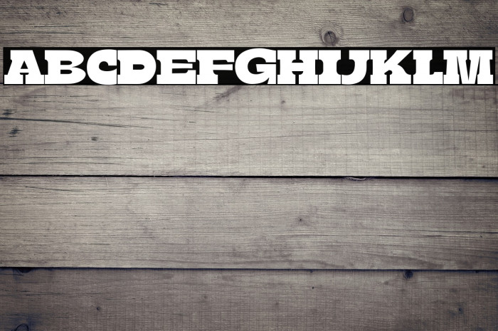 BoldieSlab-SemiCondensed Example 3