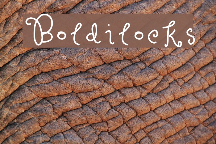 Boldilocks Font examples