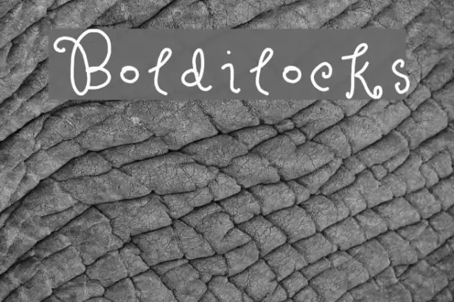 Boldilocks Polices examples