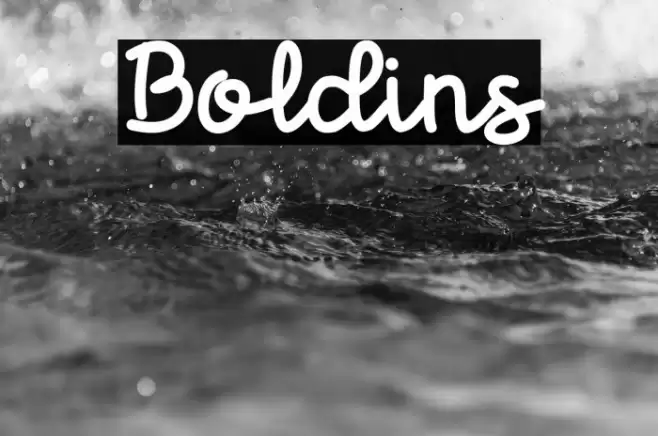 Boldins Font examples