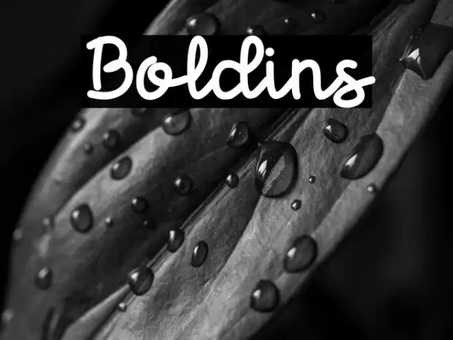 Boldins Font examples