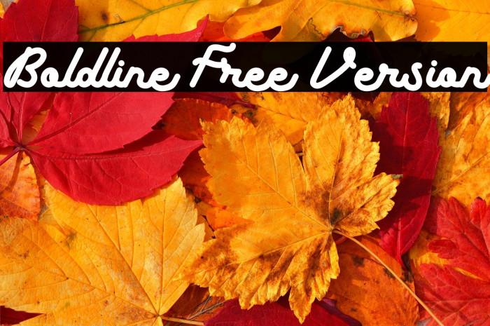 Boldline Free Version Example 2