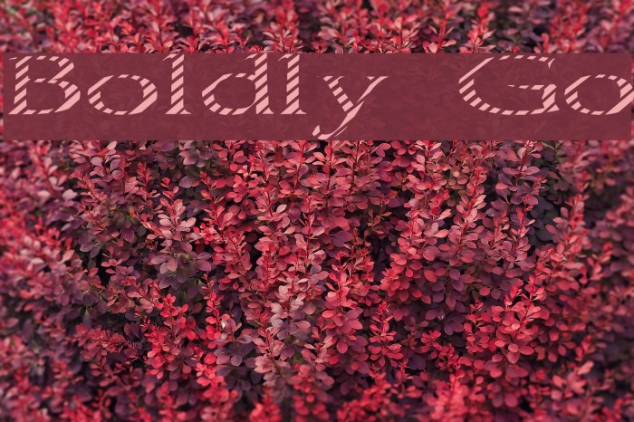 Boldly Go Font examples