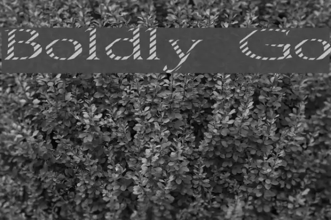 Boldly Go Example 2