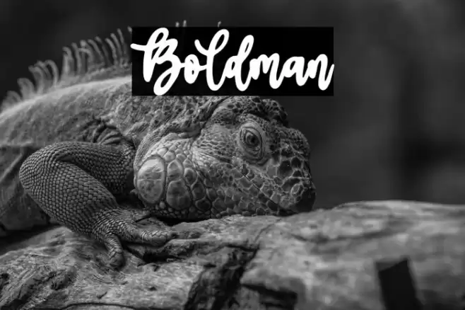 Boldman Font examples