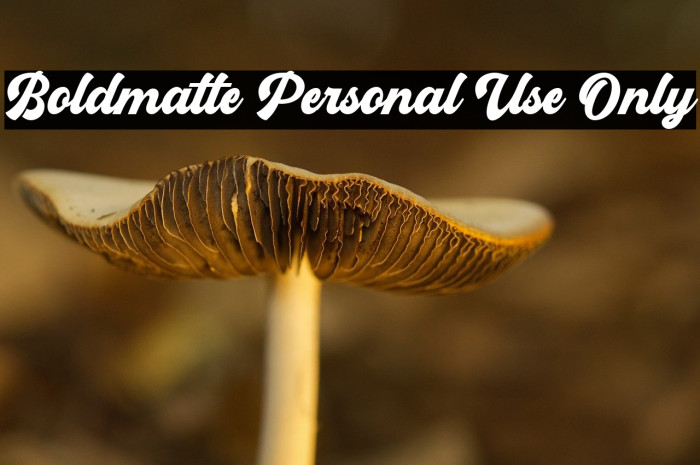 Boldmatte Personal Use Only Example 3