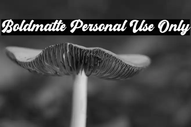 Boldmatte Personal Use Only Font examples