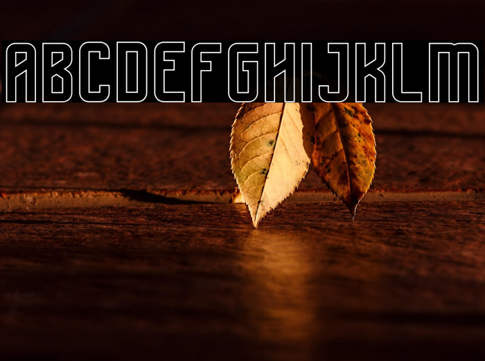 Boldness Outline Example 2