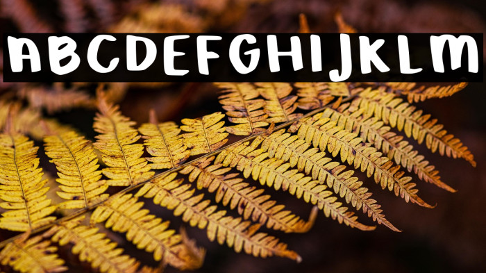 Boldness Regular Example 1