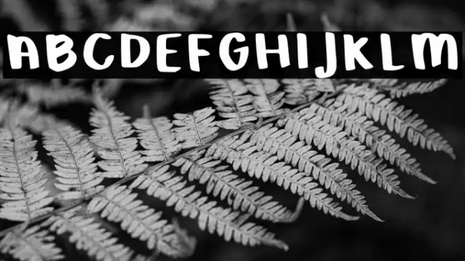 Boldness Regular Font examples