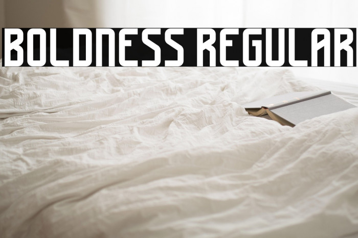 Boldness Regular Example 3