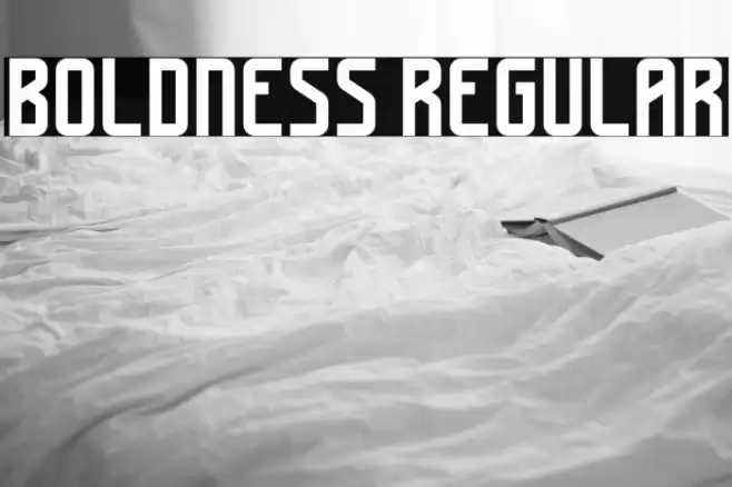 Boldness Regular Font examples