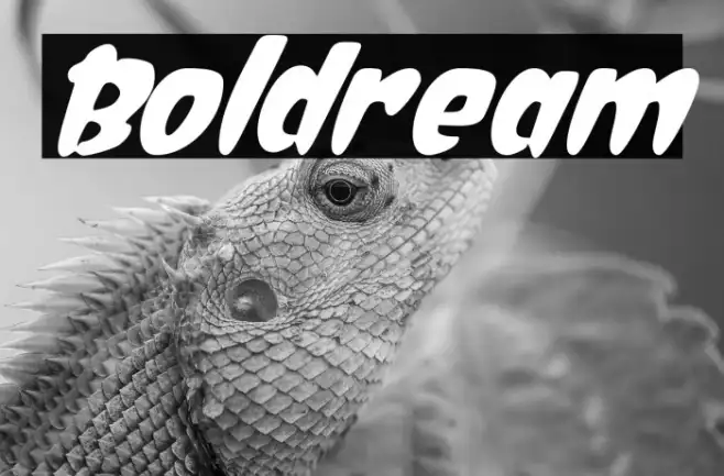 Boldream Example 2