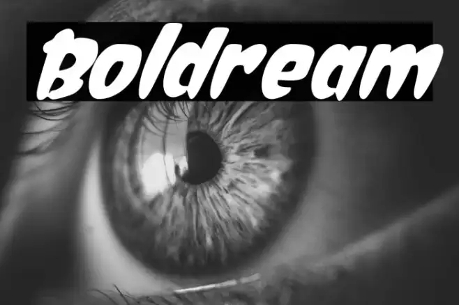 Boldream Example 3