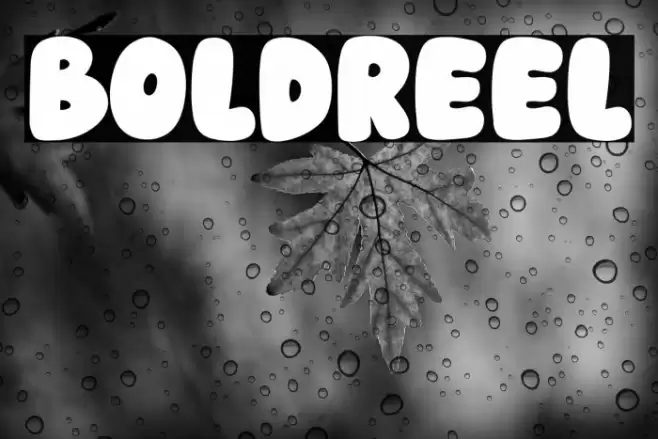 Boldreel Font examples