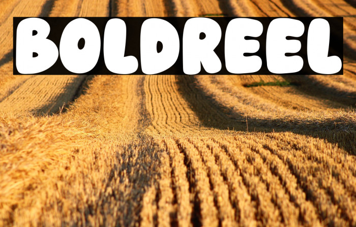 Boldreel Example 2