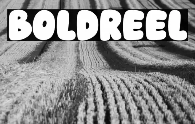 Boldreel Font examples